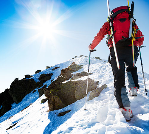 Kalimpong & Gangtok Tour